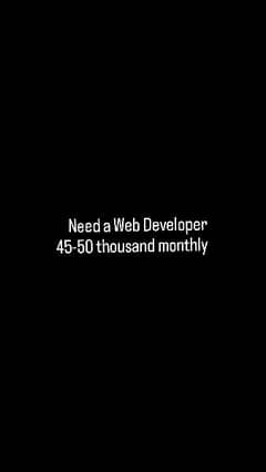 website developer