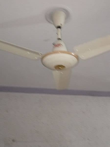 6 ceiling Fans for sale 7