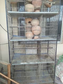 Love Birds cage