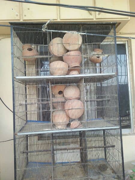 Love Birds cage 2