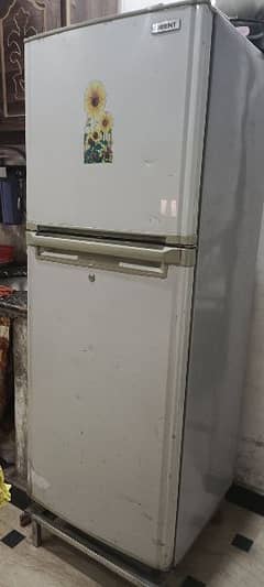 I'm selling the orient fridge medium size