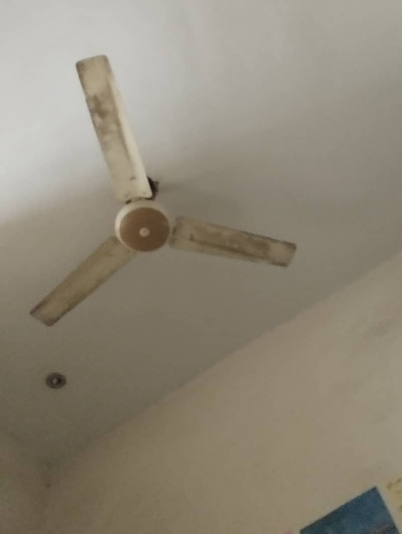 Sufi fans  ceiling . . . . . . . 2