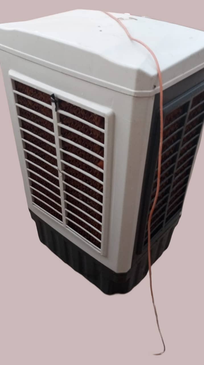 Air cooler 10