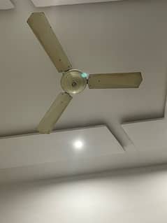 Ceiling Fan