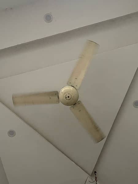 Ceiling Fan 2