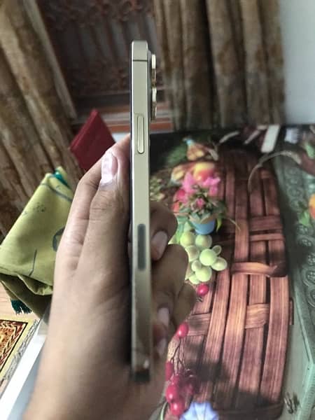 Iphone 13 Pro Max 256gb 1