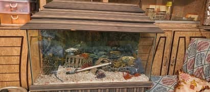 Fish Aquarium 0