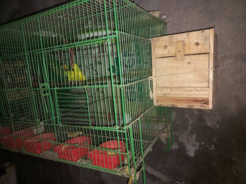 Complete cage with 2 pair of birds 3