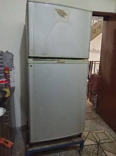 fridge medium siz