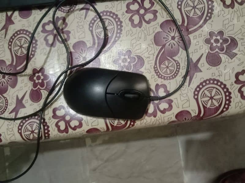 mouse 0