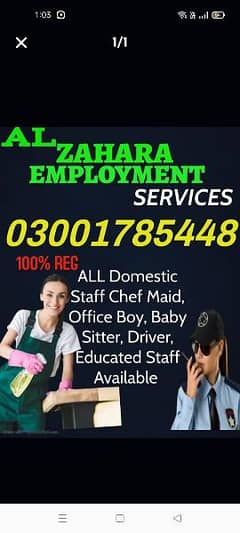 DOMESTIC STAFF/SERVICES/MAIDS/AVAILABLE/STAFF AGENCY/MAIDS/CHEF/COOK