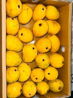Mangoes for sale, Chuunsa, Anwer Ratol, Sindhri and Langra