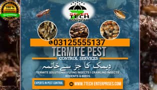 Termite Control, Fumigation Spray, Deemak Control, Pest Control|TERMI