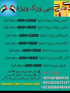 dubai work visa/work permit/visit visa/Helper Visa/Electritian Visa/ 0