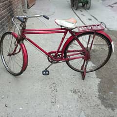 Sohrab  bicycle