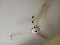 ceiling fan ha achi condition me ha. serious buyer contact on