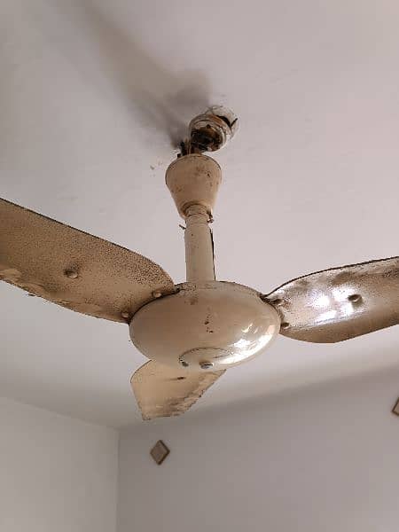 Millat old copper winding ceiling fans 5