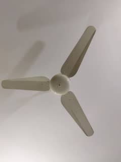 9/10 condition SK Ceiling Fans