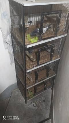 pigeons cage 4 cages in very good condition