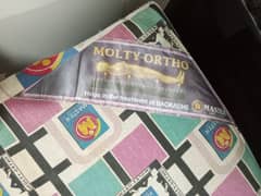 Master Molty Ortho Mattress