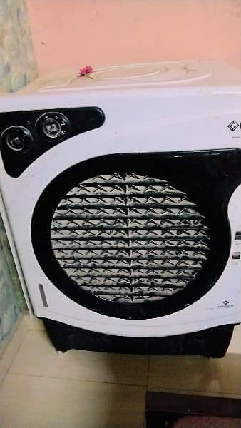 NG APPLIANCES URGENT SELL 0