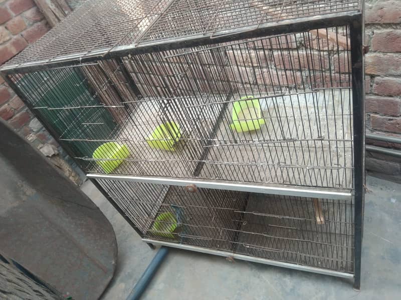 cage for sale 1