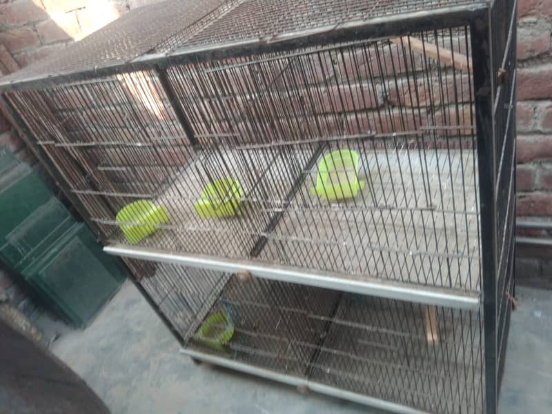 cage for sale 3