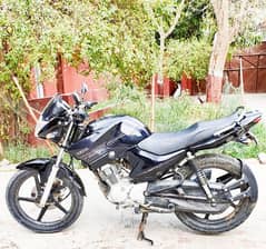 Yamaha YBR 125 Black