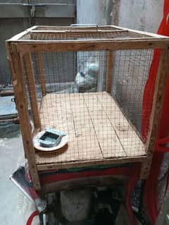 Hens birds chicks cage for sale