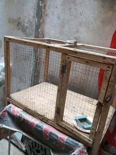 Hens birds chicks cage for sale