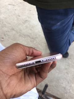 iphone 7 pta approve