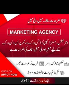 Male and female staff are required for online work,office work,home