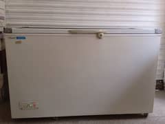 caravell glass door full size freezer (03061426847]