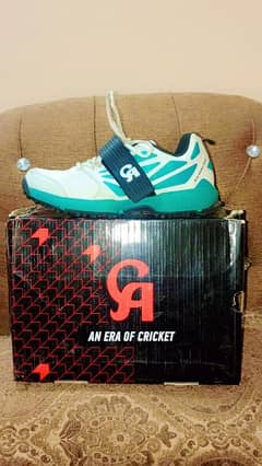 CA Cricket Shoes