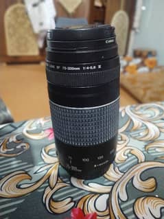 canon 75/300 lens