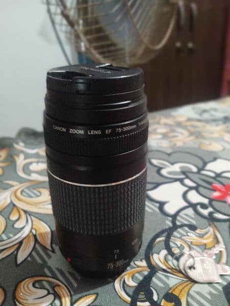 canon 75/300 lens 2