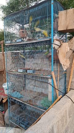 8 Portions Cage In Good Condition