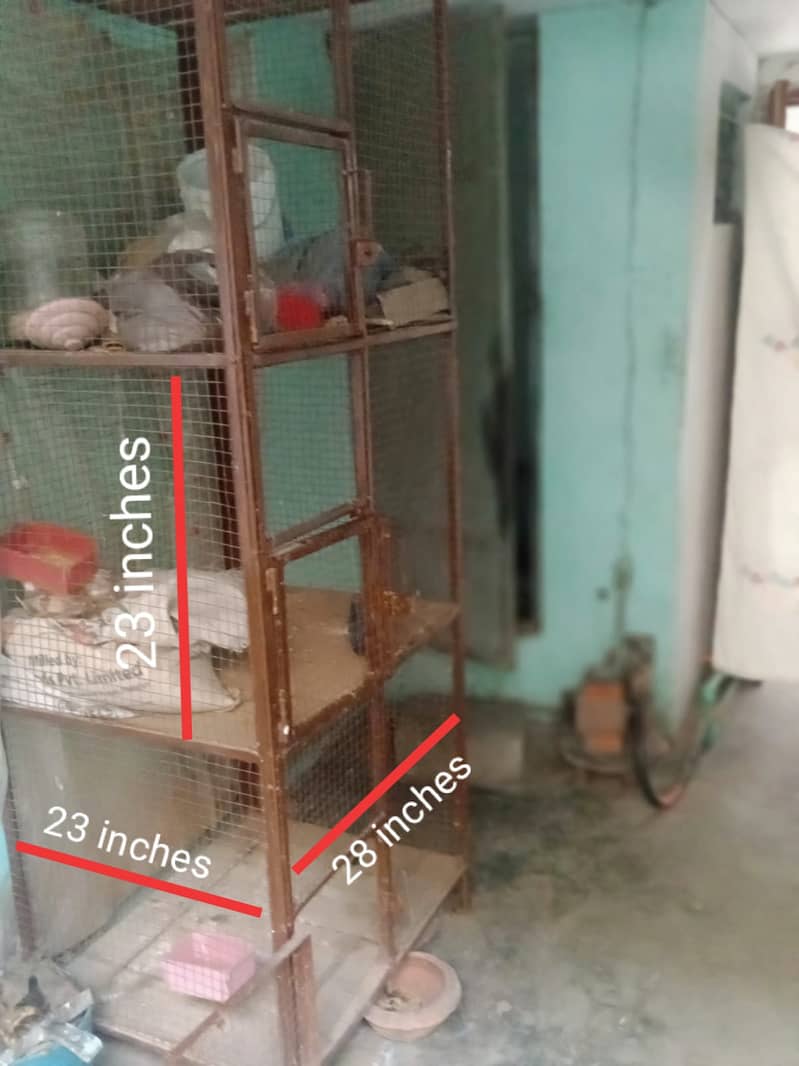 Birds & Hens Cage 0