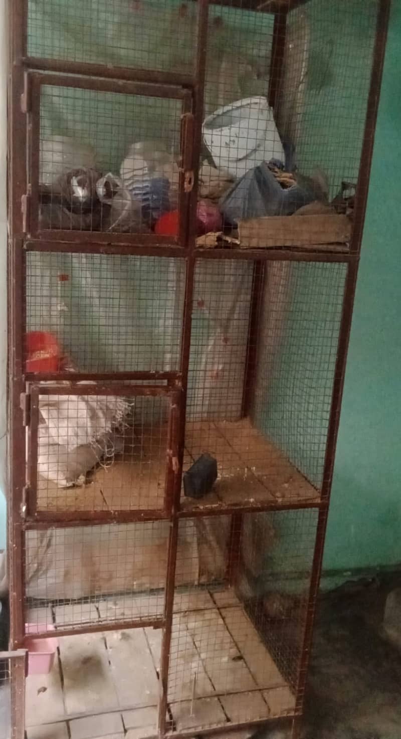 Birds & Hens Cage 2