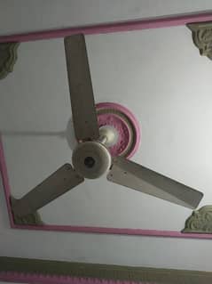 2 pedestal fan and three selling fan