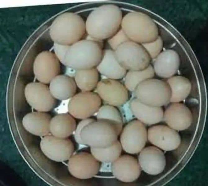 desi egg for sale 1