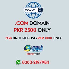 Special Discount on . com Domain only 2500 and hosting only 1000 0