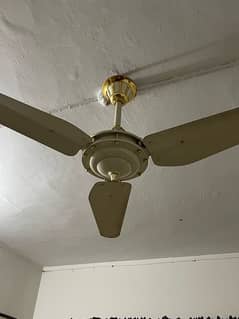 fancy ceiling fan 0