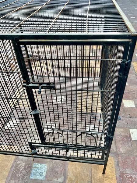 Cages for Raw Parrots 1