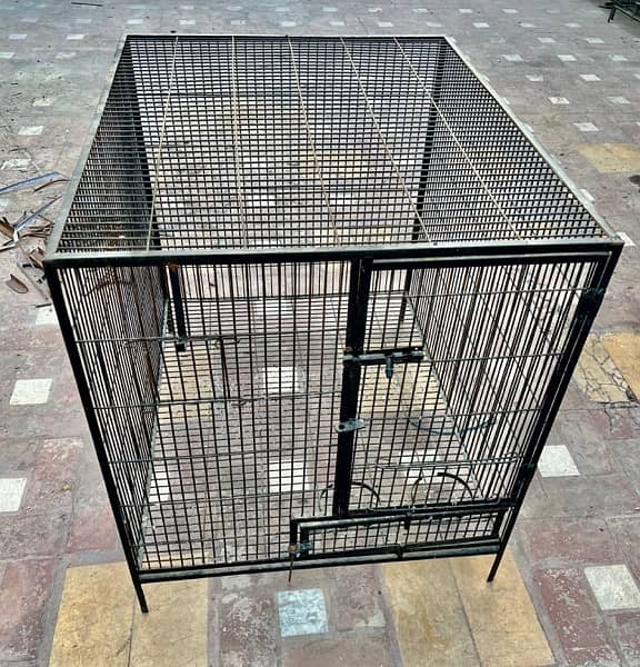 Cages for Raw Parrots 2