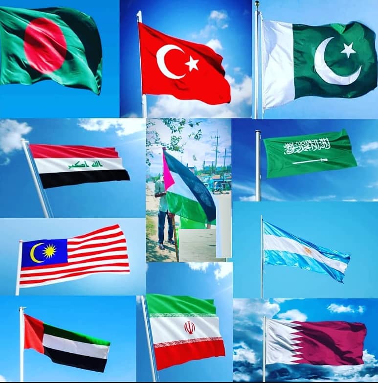 Pakistan Flag , USA Flag , Country Flags for Immigration Consultant 13