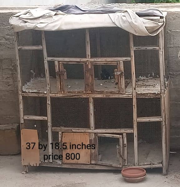 cage this offer for only Baldia resident 2