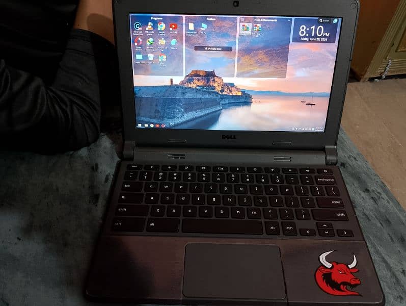 Dell Chromebook lush condition play store supported 1
