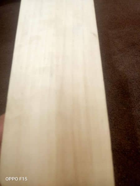 English willow hard ball bat 1