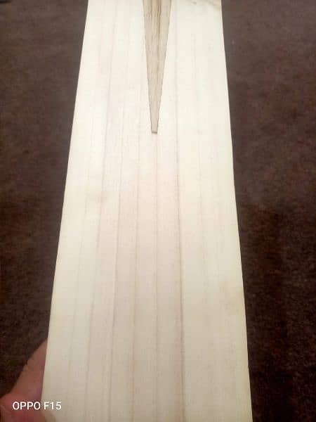 English willow hard ball bat 10